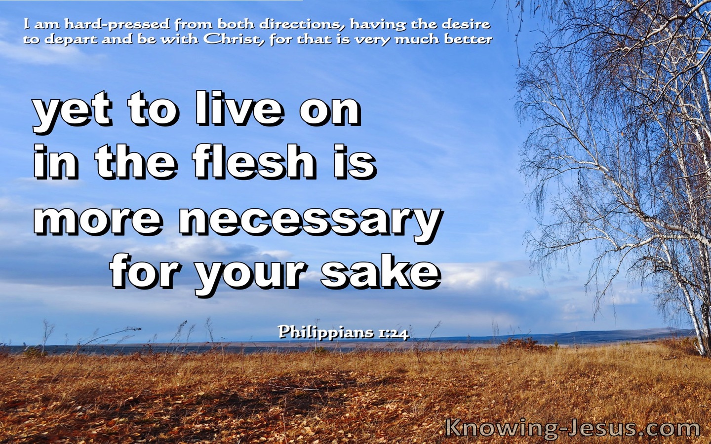 Philippians 1:24 Being In The Flesh Is More Necessary For Your (blue)